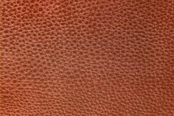 Application of Sulphur Black in Leather Dyeing